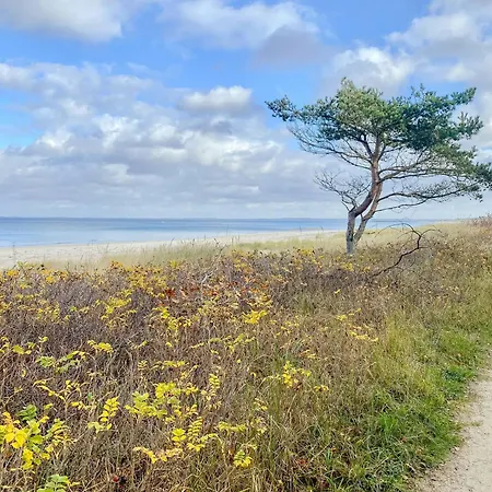 Fairy Tale In French Style For Family *