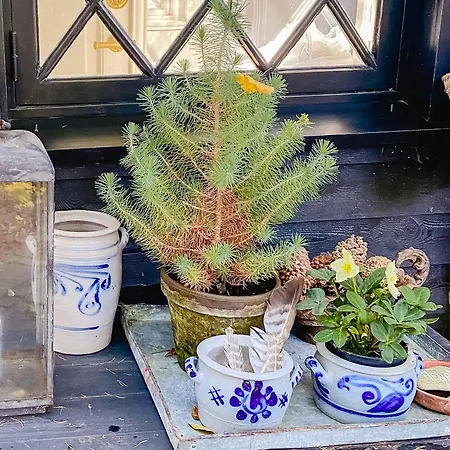 Fairy Tale In French Style For Family بيت للعطل Hornbæk